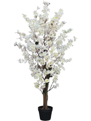 Nettenevime Yapay Ağaç Beyaz Japon Kiraz Çiçeği Bahardalı Ağacı Sakura Çiçeği Çalılı 150CM