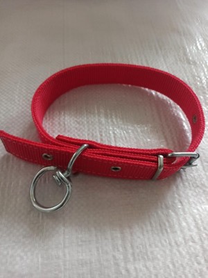 Kozak Lı Küçük Irk Köpek Tasmasi Boy 45-50 cm