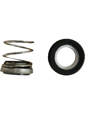 Palmera PA30T Taş Keçe Porselen Salmastra  3 " Su Motoru