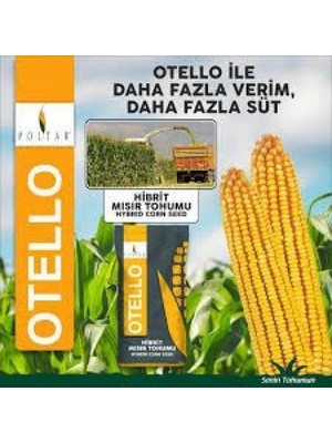 Otello Hibrit Slaj Mısır Tohumu 50000