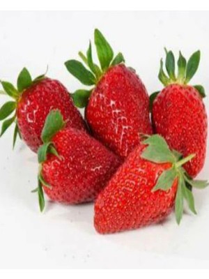 Net Tarım 5 Adet Camarosa Çilek Fidesi Fidanı Açık Köklü Yediveren