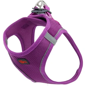 Natura Pet Natura Air Net Bel Tasması Xs Mor