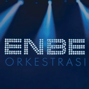 Dmc Enbe Orkestrası Plak