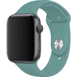 Apple Watch Seri 7 6 5 4 3 2 Se 42MM / 44MM / 45MM  Uyumlu Spor Silikon Kordon
