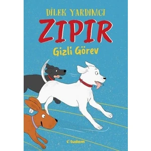 Tudem Yayınları Zıpır Gizli Görev
