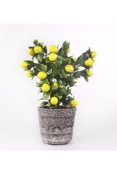 Nettenevime Limon Ağacı Seramik Saksıda Yapay Çiçek