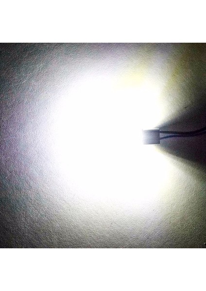 T10 LED Dipsiz W5W Canbus 12 Ledli Park Plaka Tavan Ampulü - Beyaz