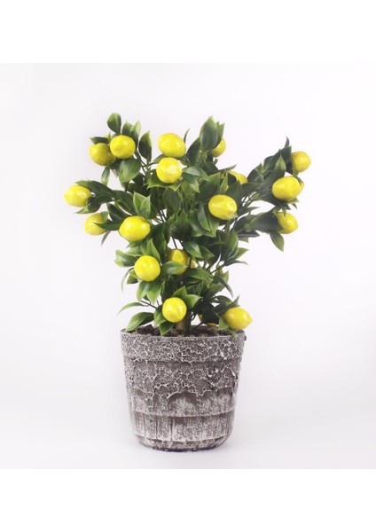 Limon Ağacı Seramik Saksıda Yapay Çiçek fiyatları