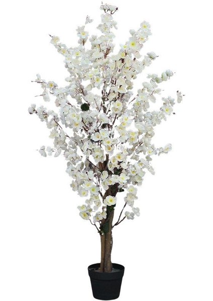 Yapay Ağaç Beyaz Japon Kiraz Çiçeği Bahardalı Ağacı Sakura Çiçeği Çalılı 150CM