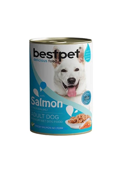 Bestpet Somonlu Soslu Yetişkin Köpek Konservesi 400GR