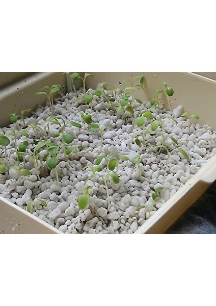Tarım Perliti 50 Litre
