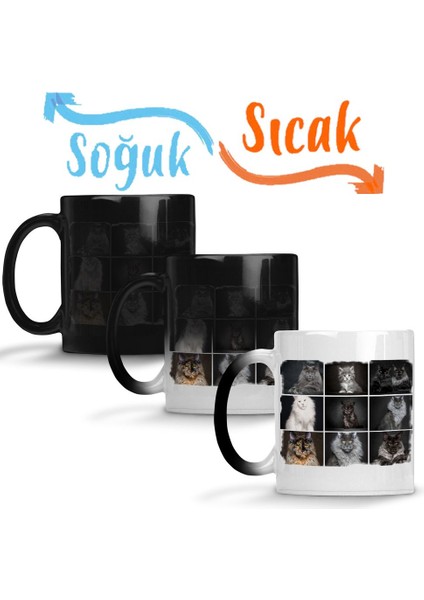 Cats Collection One Sihirli Kupa Bardak Porselen