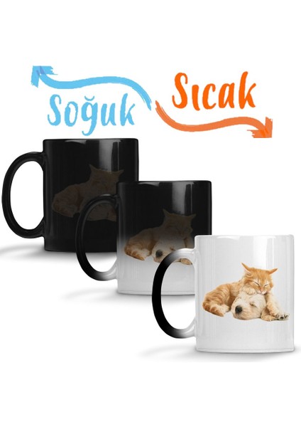Cats Collection Two Sihirli Kupa Bardak Porselen