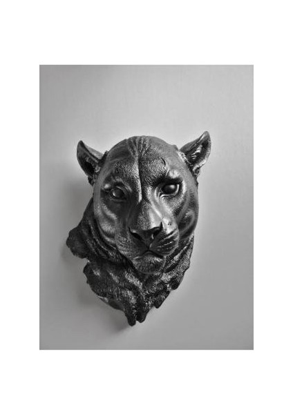 Dekoratif Polyester Kaplan Duvar Panosu (22X17CM)