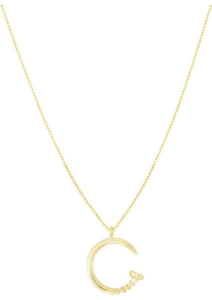 Altın Çivi Kolye T054454