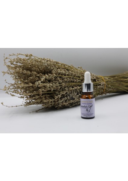 Lavanta Lavanta Yağı 10 ml
