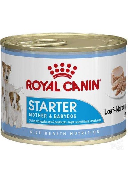 Starter Mousse Anne ve Yavruları Için Köpek Konservesi 195 gr