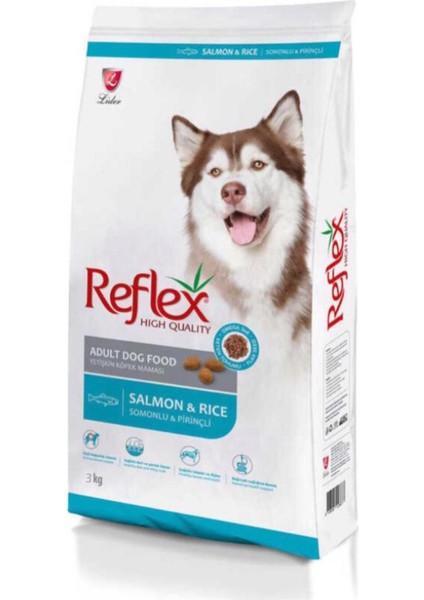 Balıklı & Pirinçli Yetişkin Köpek Maması 3 kg