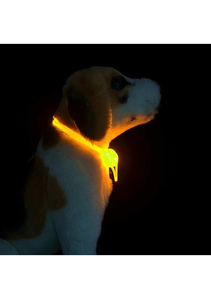 Evcil Köpek ve Kedi Renkli LED Işıklı Boyun Tasması (Yurt Dışından)