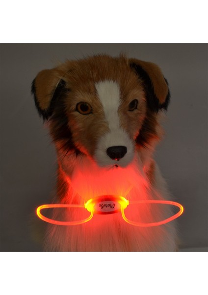 Evcil Köpek ve Kedi Renkli LED Işıklı Boyun Tasması (Yurt Dışından)