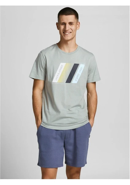 Jack & Jones Erkek Jcoconnor T-Shirt 12205428