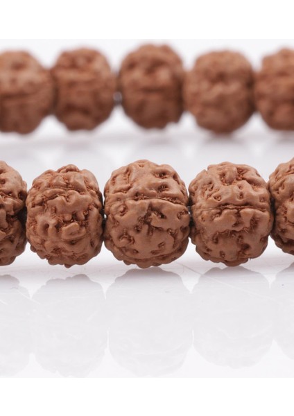 Rudraksha Tohumu Bileklik 6 x 7 mm Rondel Kesim