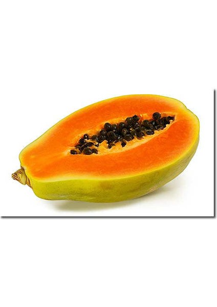 Tropikal Papaya Ağacı Tohumu Ekim Seti