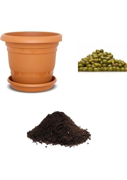 Ithal Mung Bean Fasulye Tohumu Ekim Seti