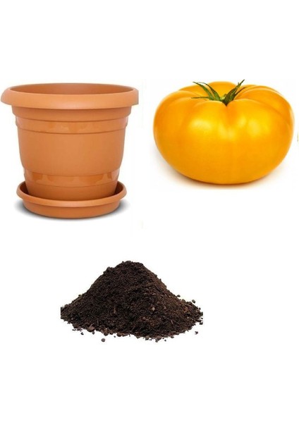 Dev Italyan Sarı Pileli Domates Tohumu Ekim Seti