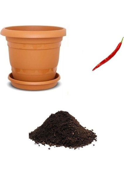 Uzun Kırmızı Tatlı Sivri Biber Tohumu Ekim Seti