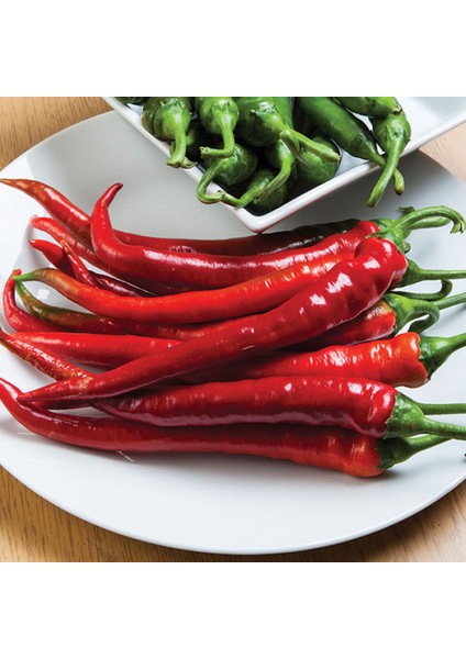 Uzun Kırmızı Tatlı Sivri Biber Tohumu Ekim Seti fiyatları
