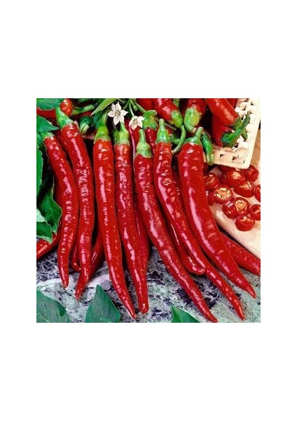 Uzun Kırmızı Tatlı Sivri Biber Tohumu Ekim Seti fırsatları