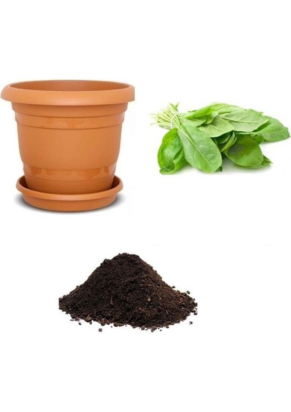 Koç Kulağı Tohumu Ekim Seti