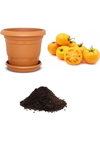 Nadir Ithal Cherry Sarı Domates Tohumu Ekim Seti