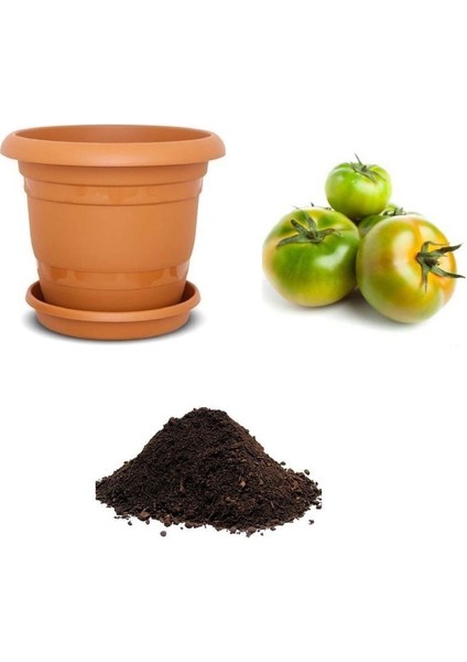 Yayla Domatesi Tohumu Ekim Seti