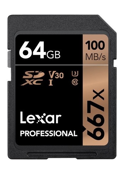 64 GB Professional 667X Sdxc Uhs-I Sd Kart