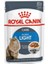 Pouch Ultra Light Diyet Yaş Kedi Maması 85 gr 2