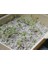 Tarım Perliti 100 Litre 3