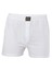 1146 Erkek Boxer 1