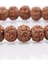 Rudraksha Tohumu Bileklik 6 x 7 mm Rondel Kesim 2