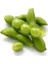 Ithal Mung Bean Fasulye Tohumu Ekim Seti 2