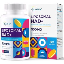 Dietary Supplement Liposomal 500 Mg Nad+ 250 Mg Tmg Abd