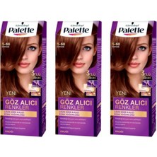 Palette Göz Alıcı Renkler Saç Boyası 5-68 Kestane 3 Paket