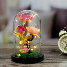 Mobgift Şakayık Çiçeği Altında Oturan Romantik Çift Tasarımlı Işıklı Fanus (Pembe)