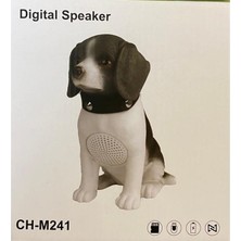 Nettech CH-M241 Dogi Dijital Bluetooth Hoparlör - Speaker