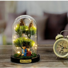 herkesetoptantic Kişiye Özel Çam Ağacı Altında Sırt Sırta Oturan Aşıklar Tasarımlı Işıklı Fanus