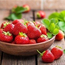 Çiçek Life 36 Adet  ( Çok Verimli )  Çilek Fidesi Kokolu ve 1 Inci Sınıf Açık Köktür