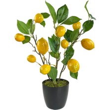 Nettenevime Yapay Limon Ağacı 40cm Gerçek Doku Siyah Plastik Saksılı Dekoratif Süs Çiçeği
