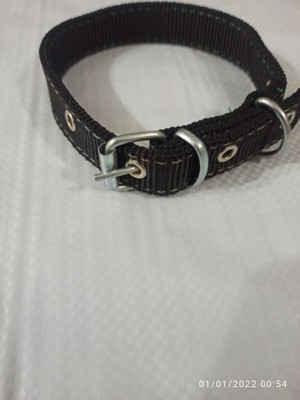 Kozak Lı Küçük Irk Köpek Tasmasi Boy 45-50 cm