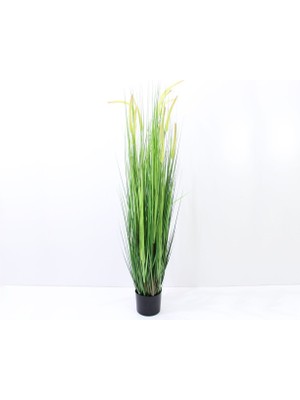 Dekorsende Yapay Seterya Pot 150 cm